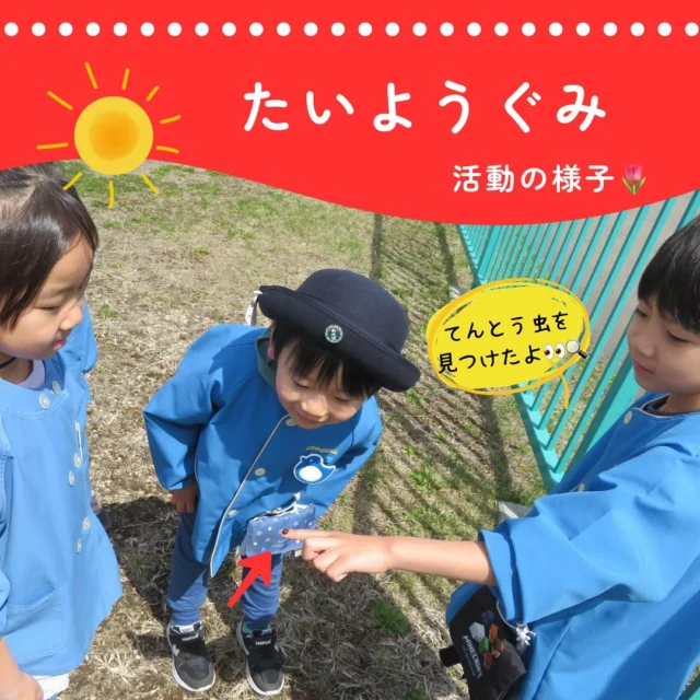…

今日は年長組の活動の様子を
お伝えします🙌🏻

今週から1日保育が始まり
年長組での生活リズムにも少しずつ
慣れてきた子ども達👦🏻👧🏻✨

座った活動では集中して黙々と取り組む姿
外での活動では思いっきり体を動かし
楽しむ姿が印象的ですよ👀🎶

これから外での活動も増え
疲れが溜まってくる頃かと思いますので
体調の変化等ありましたら
すぐにお知らせくださいね😌

#北海道
#千歳市
#千歳市幼稚園
#千歳市認定こども園
#第2わかば幼稚園
#年長組
#たいよう組
#4月の製作
#文字・数練習
#外遊び
