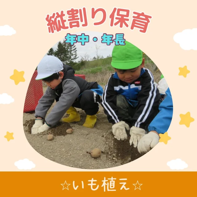 …

今日は年中・年長組で松浦農園さんへ
いも植えに行ってきました🚌🌬️

松浦さんからたねいもの植え方を
聞いた子どもたち👦🏻👧🏻
今年は『きたあかり』の
たねいもを植えましたよ🎵

深く掘った穴にたねいもを植え、
優しく土をかぶせます😊
年長組のみんなが優しくサポートしてくれて
お兄さん・お姉さんな一面も見えました👀

最後にはうさぎさんも見にいくことができ、
餌をあげたり、生まれたばかりの赤ちゃんうさぎも
見ることができ、楽しい1日になりました♡

みんなのおいもが大きく元気に育ちますように✨

#北海道
#千歳市
#千歳市幼稚園
#千歳市認定こども園
#第2わかば幼稚園
#年中組
#年長組
#いも植え
#松浦農園